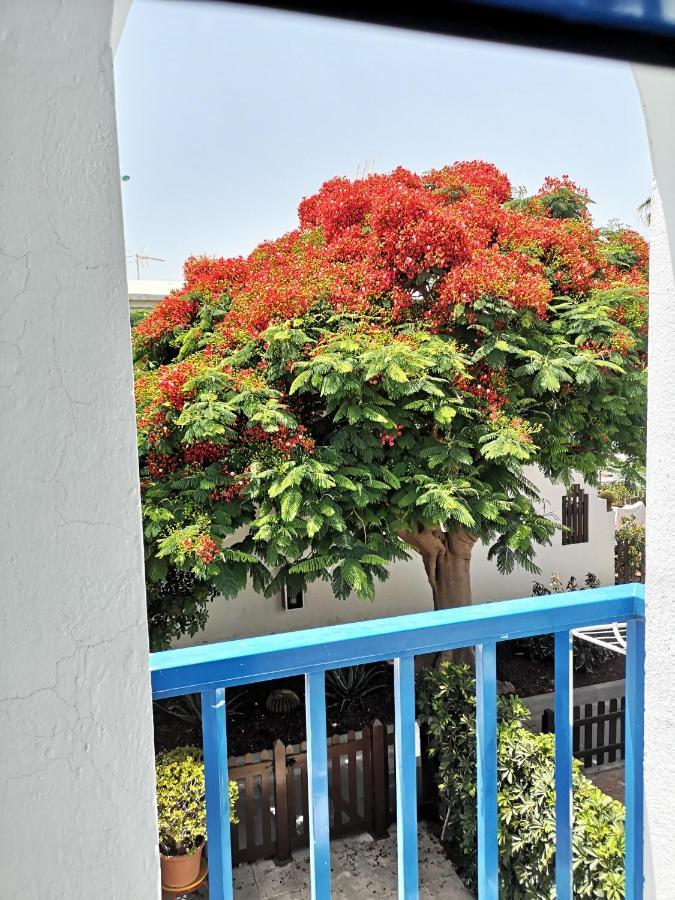 Maspalomas Casa La Loba Luaran gambar