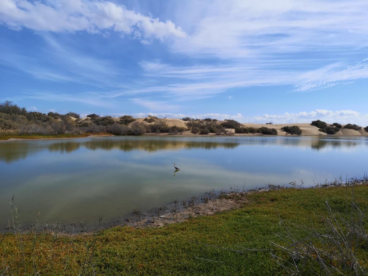 Maspalomas Casa La Loba Luaran gambar